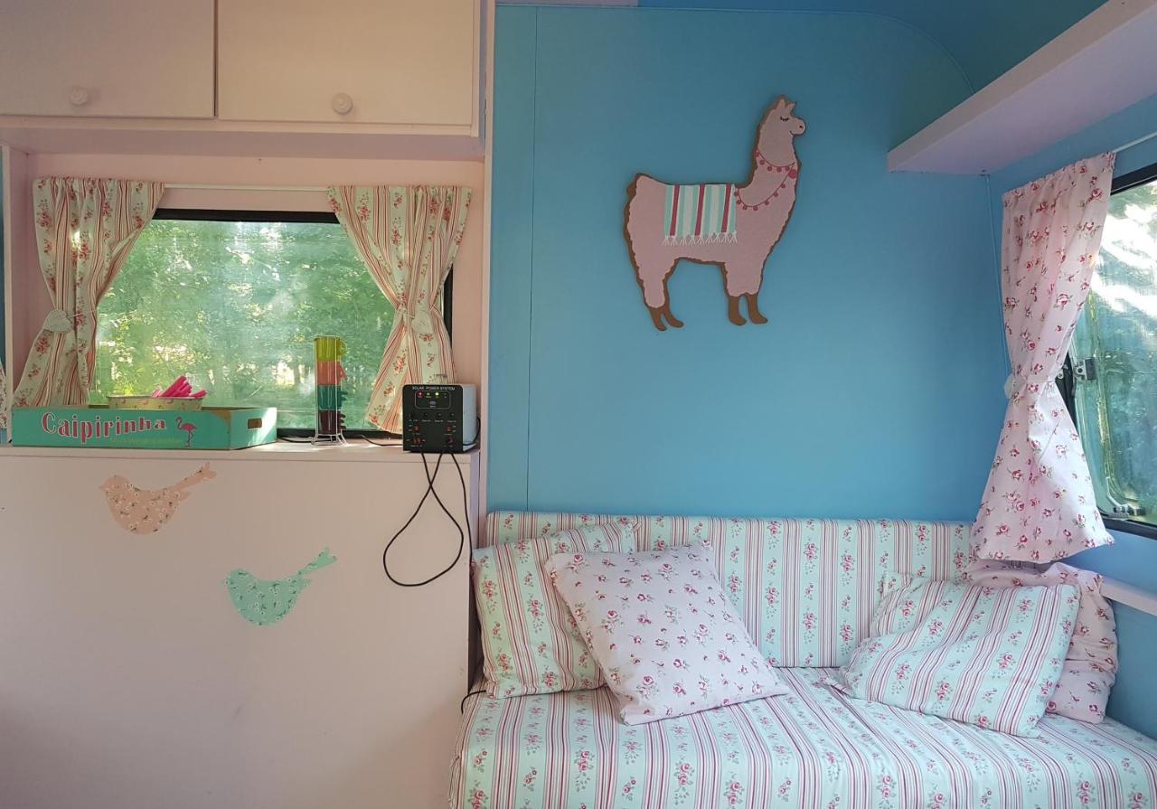 Camping Bois De St Hilaire Chalandray Exteriér fotografie