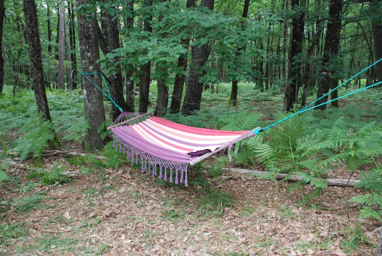 Camping Bois De St Hilaire Chalandray Exteriér fotografie