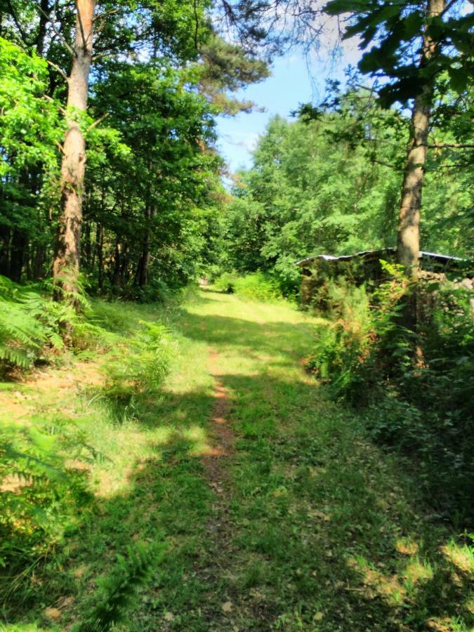 Camping Bois De St Hilaire Chalandray Exteriér fotografie